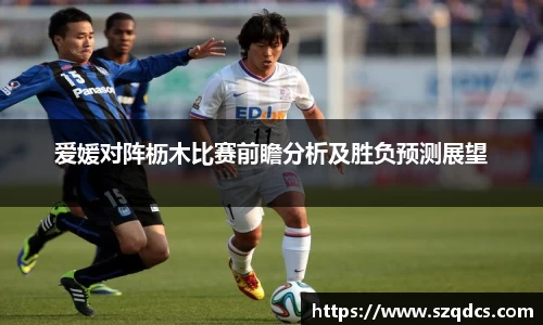 爱媛对阵枥木比赛前瞻分析及胜负预测展望